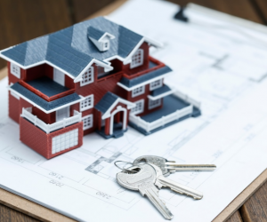 imagem_2022-07-07_130529976 imagem_2022-07-07_130529976